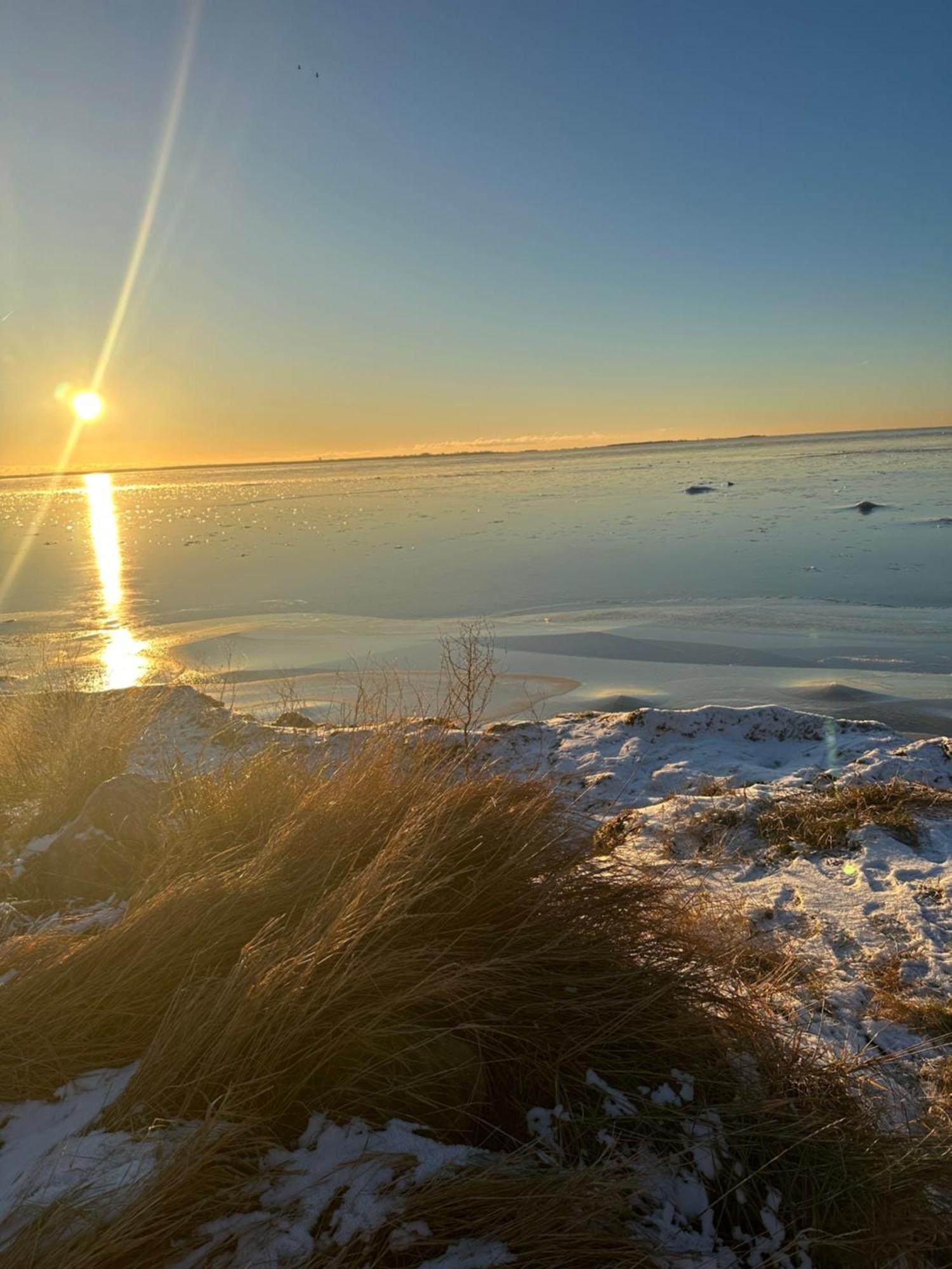 Beach Cabin Höllviken Eksteriør bilde